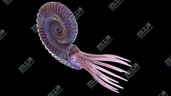 images/goods_img/20210312/Ammonite model/3.jpg